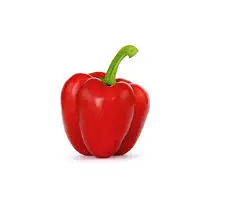 High Grade Organic Fresh Bell Peppers Export Price Vegetables Wholesale High Quality Fresh Organic Vegetables From Top Suppliers
