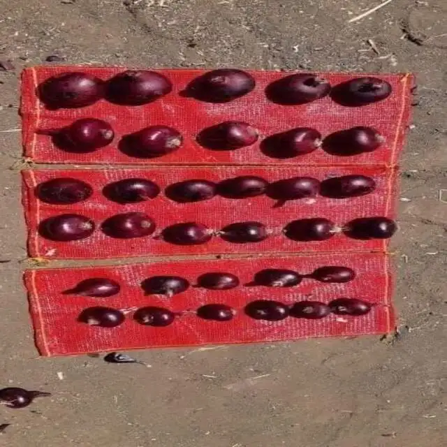 re9
