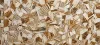 Zebra Jasper