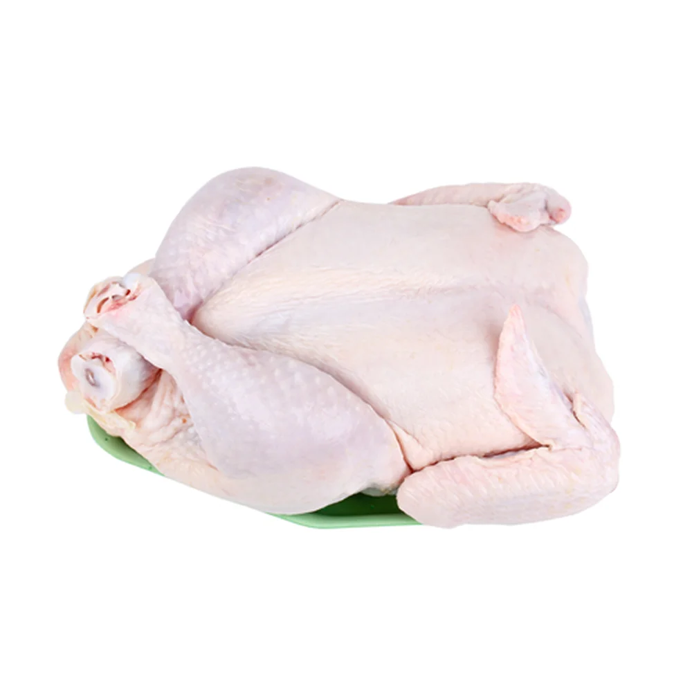 food3052351605714837405753.png