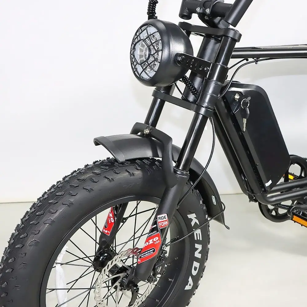 HOTTECH 48V 250W Electric Mountainbike with 20 Fat Bike B66 Steel Frame 15Ah Battery 7-Speed Tektro Disc Brakes Full Suspension