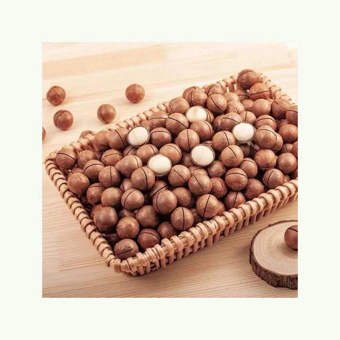 Hot sale Macadamia Nuts Raw Salted Roasted Maca Powder Healthy Food Macadamia in Shell