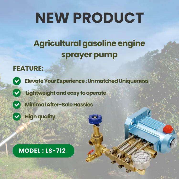 30-59L Grease-free Agriculture and Orchard Sprayer Plunger Pump