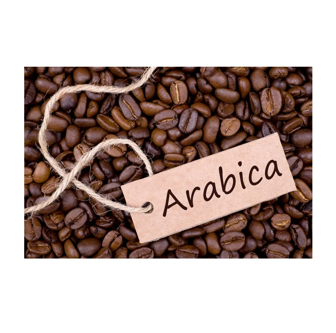 High Quality Original Roasted Arabica Coffee Beans Buy 100 Top