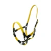 Couleur multi