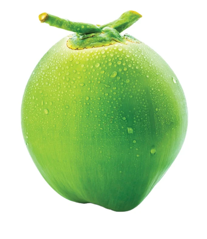 11 (3).png