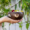 Natural coconut color