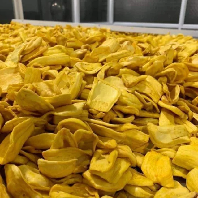 Hot Export 2024 Dried Jackfruit Chip With Competitive Price Buy