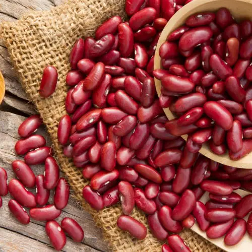 2022 Wholesale Red Beans Vietnamese Red Beans Exported//ms Valeri +84