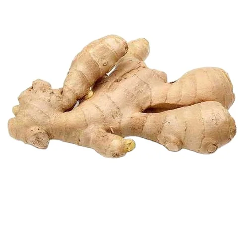 Vegetable Ginger Fresh Dried Ginger Agriculture Product Top Sale Air ...