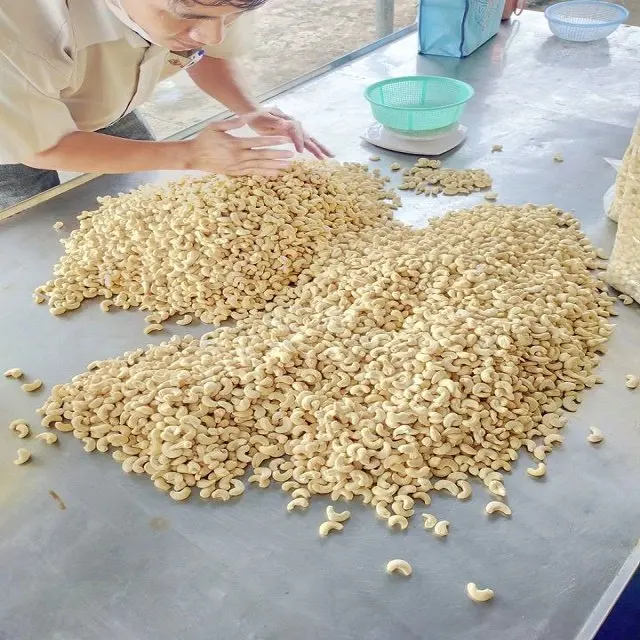 CASHEW NUTS ALL TYPE SP LP W180 W240 W320 NATURAL KERNEL WHOLESALE PRODUCT MADE IN VIETNAM HIGH QUALITY EXPORT IN BULK