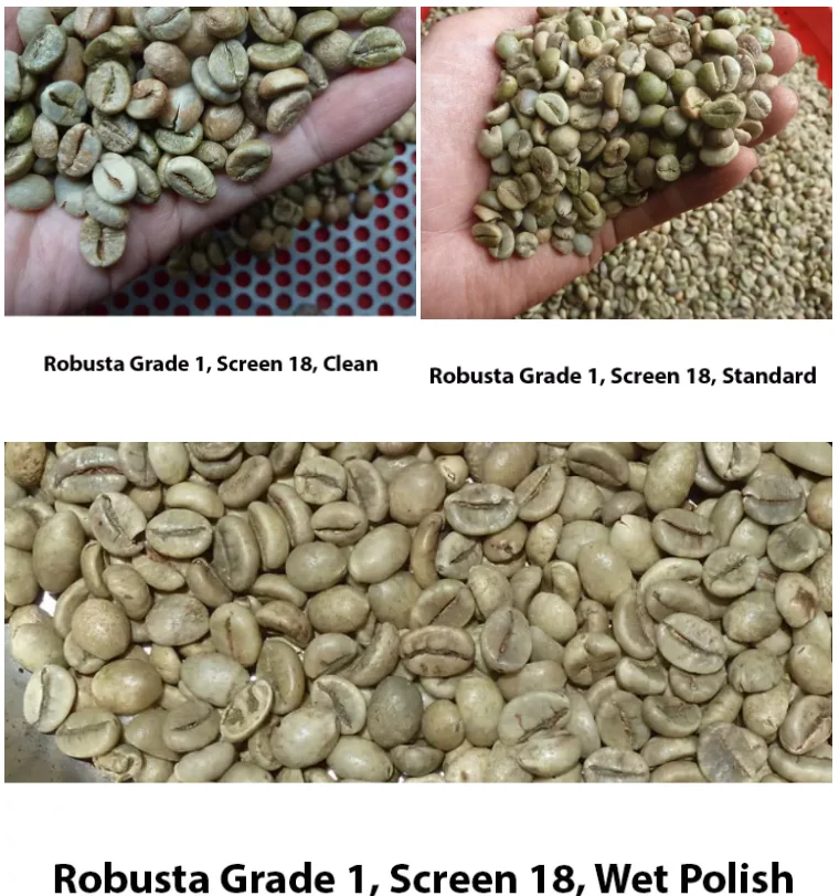 Wholesale 100 High Quality Instant Coffee Spray Dried Instant Coffee