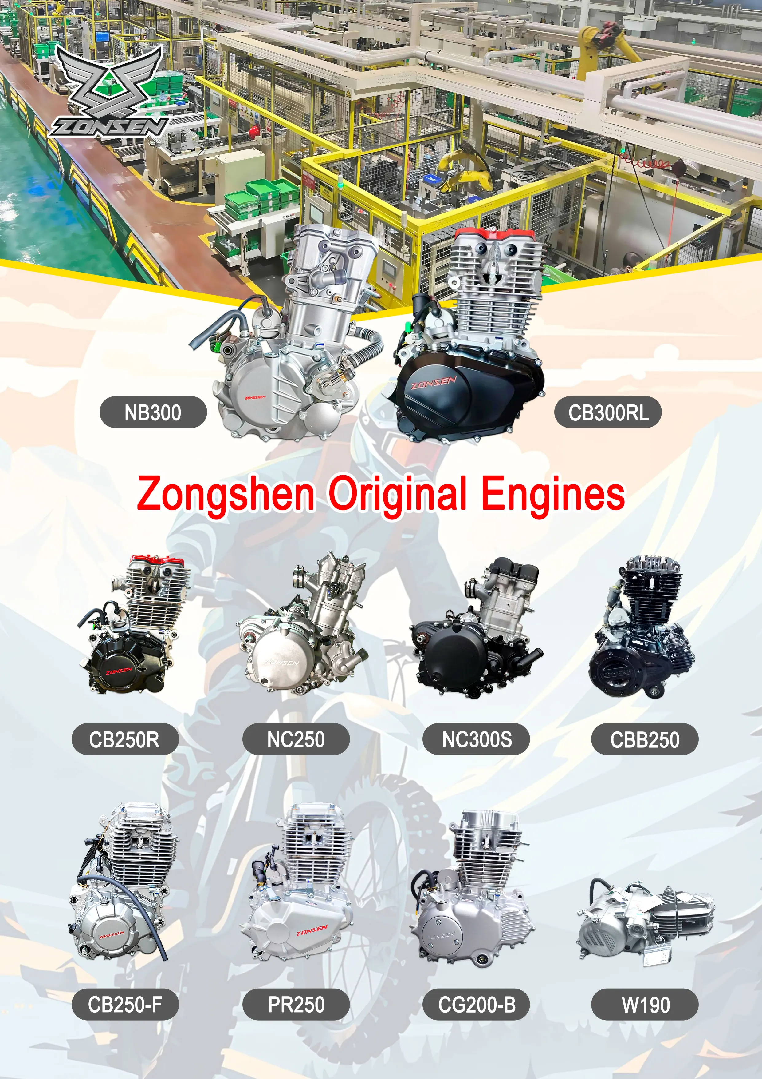 Zongshen ZS167MM-L8T100194 CG250 250CC Single Cylinder 4-Stroke Water ...