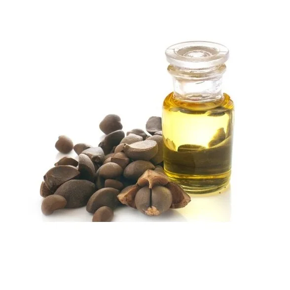 Высококачественное Чистое рафинированное масло семян камелии для продажи по самой низкой оптовой