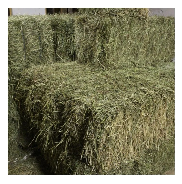 Alfalfa (lucerne) Hay/timothy Alfafa Hay/ Cheap Alfafa Hay For Animal