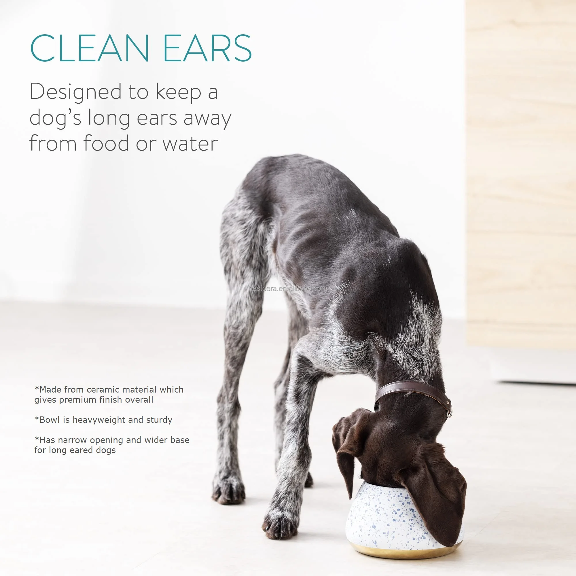 BESTCERA Factory New Customized Direct Sales  Pet Bowl  Ceramic Dog Bowl for Long Eared Dogs
