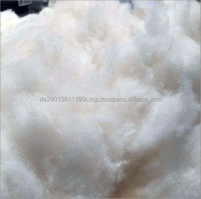 100% Cotton Comber Noil,Waste Cotton In Bales - Buy Raw Cotton Bales ...