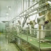 Efficient complete goat slaughtering machine for advanced lamb slaughtering equipment