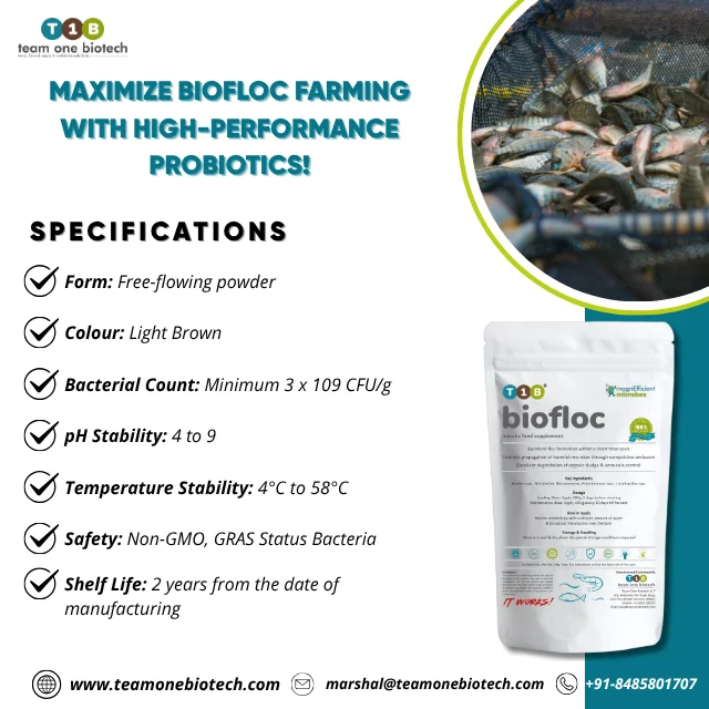 Biofloc Probiotic for Shrimp Aquaculture Tanks High Efficiency ...