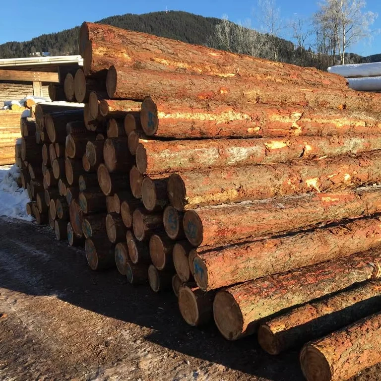 Siberian Larch Logs for Timber Framing  Larch Logs for Structural Use  Siberian Larch Logs for Custom Orders