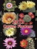 2019  Cactus Flowers
