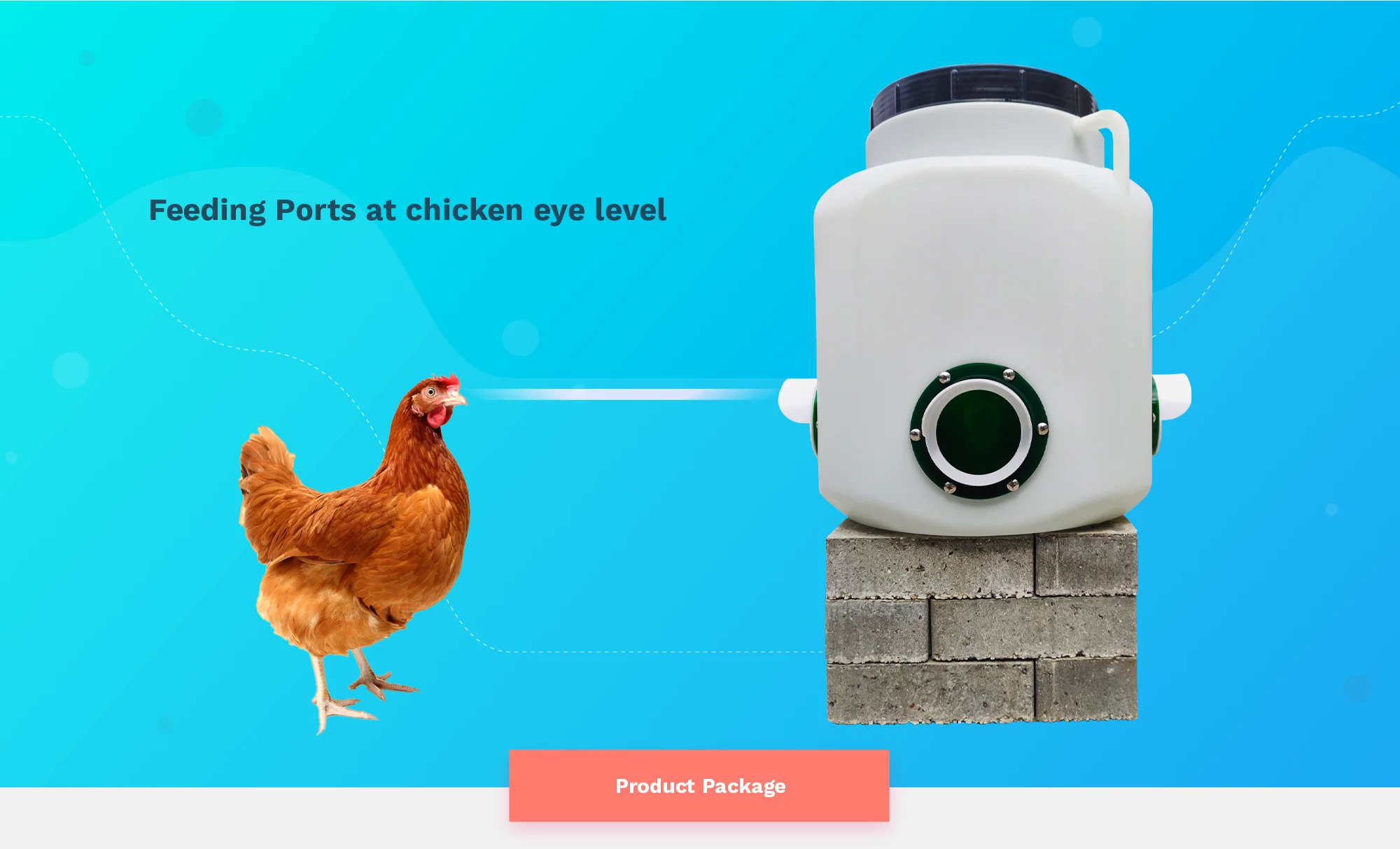 High Capacity Broiler Feeding System Set Of Feed Ports Dcdiy1f Des