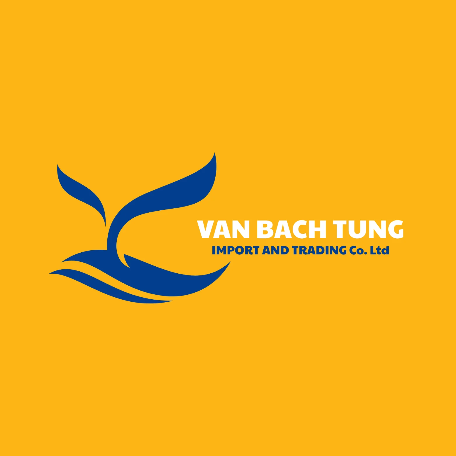 Company Overview - VAN BACH TUNG IMPORT AND TRADING COMPANY LIMITED