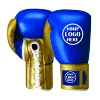 Blue & Gold