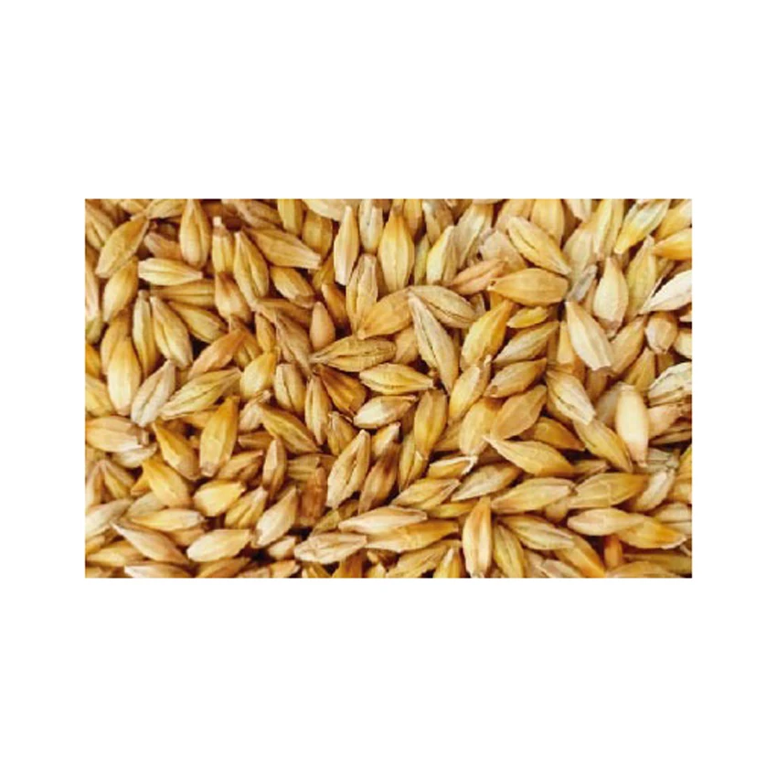 Сушеные украинские жемчужины и ячмень для производства