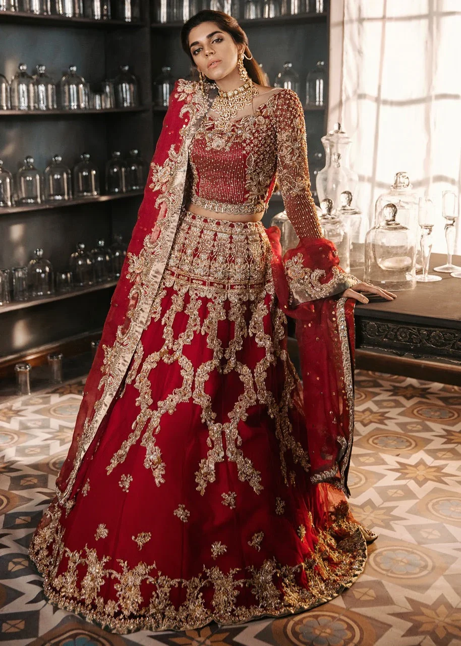 French-Inspired Red Bridal Set Fine Crafted Pakistani Choli Lehnga & Dupatta with Indian Motifs