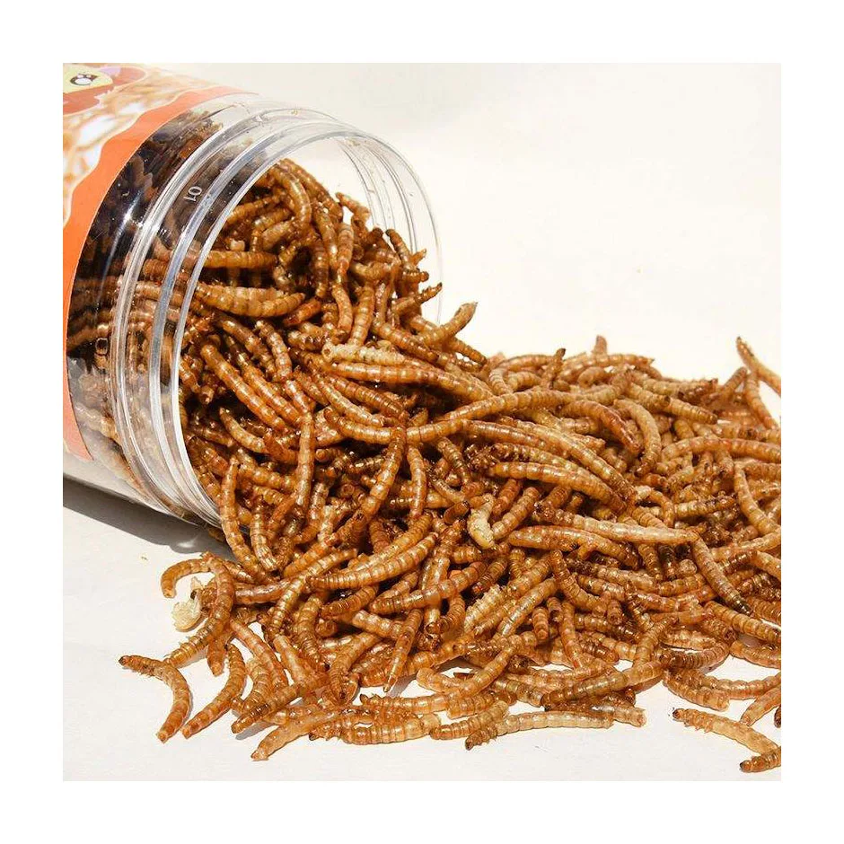 Dried Mealworm For Bird,Yellow Dried Mealworms Yellow Wholesale High