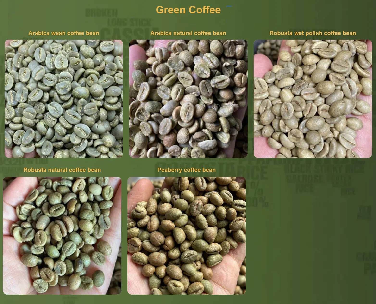Arabica/ Robusta Green Coffee Beans,New Crop High Quality Buy Raw