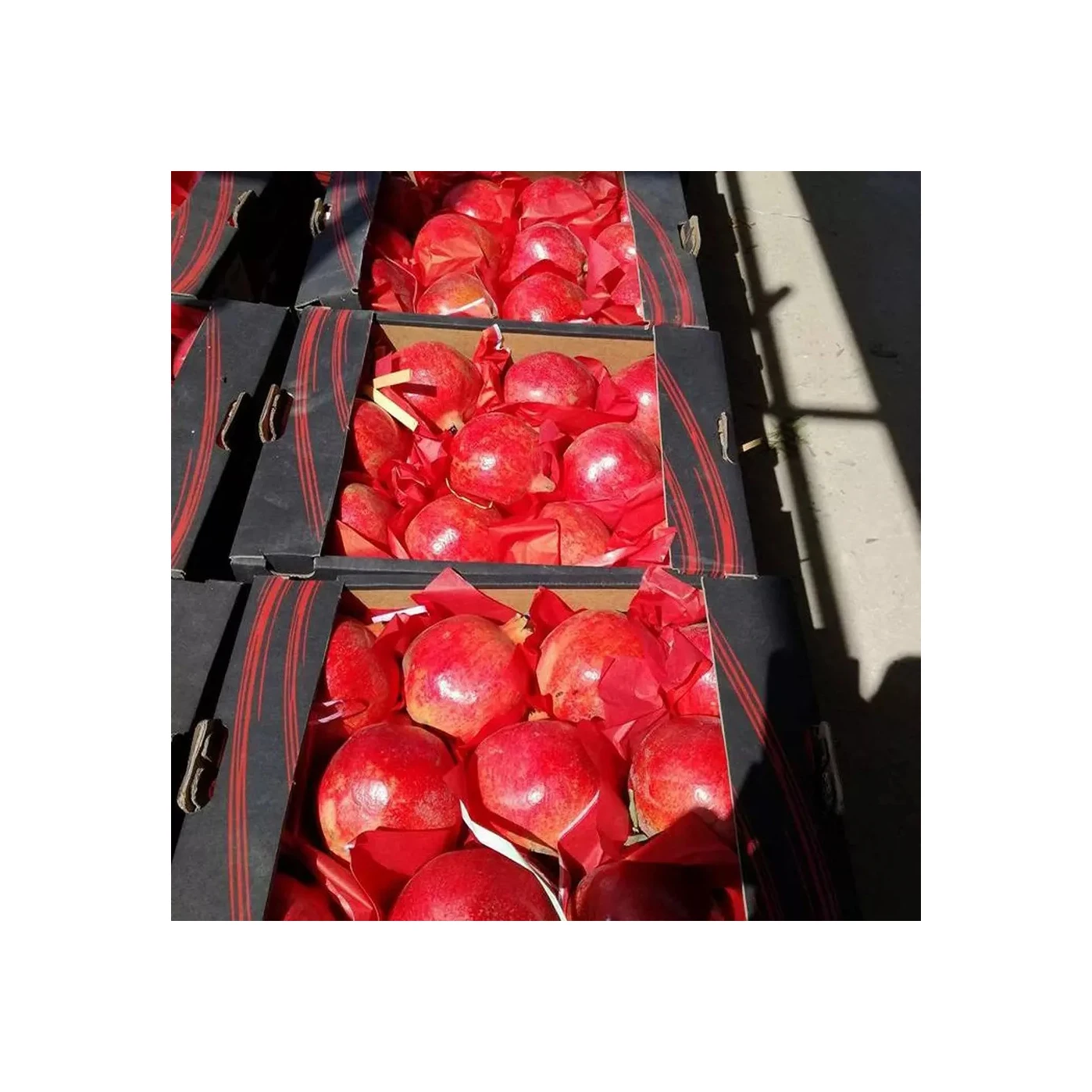 Sweet and Sour Fresh Pomegranates in Bulk Quick Air Cargo Delivery From Brazil
