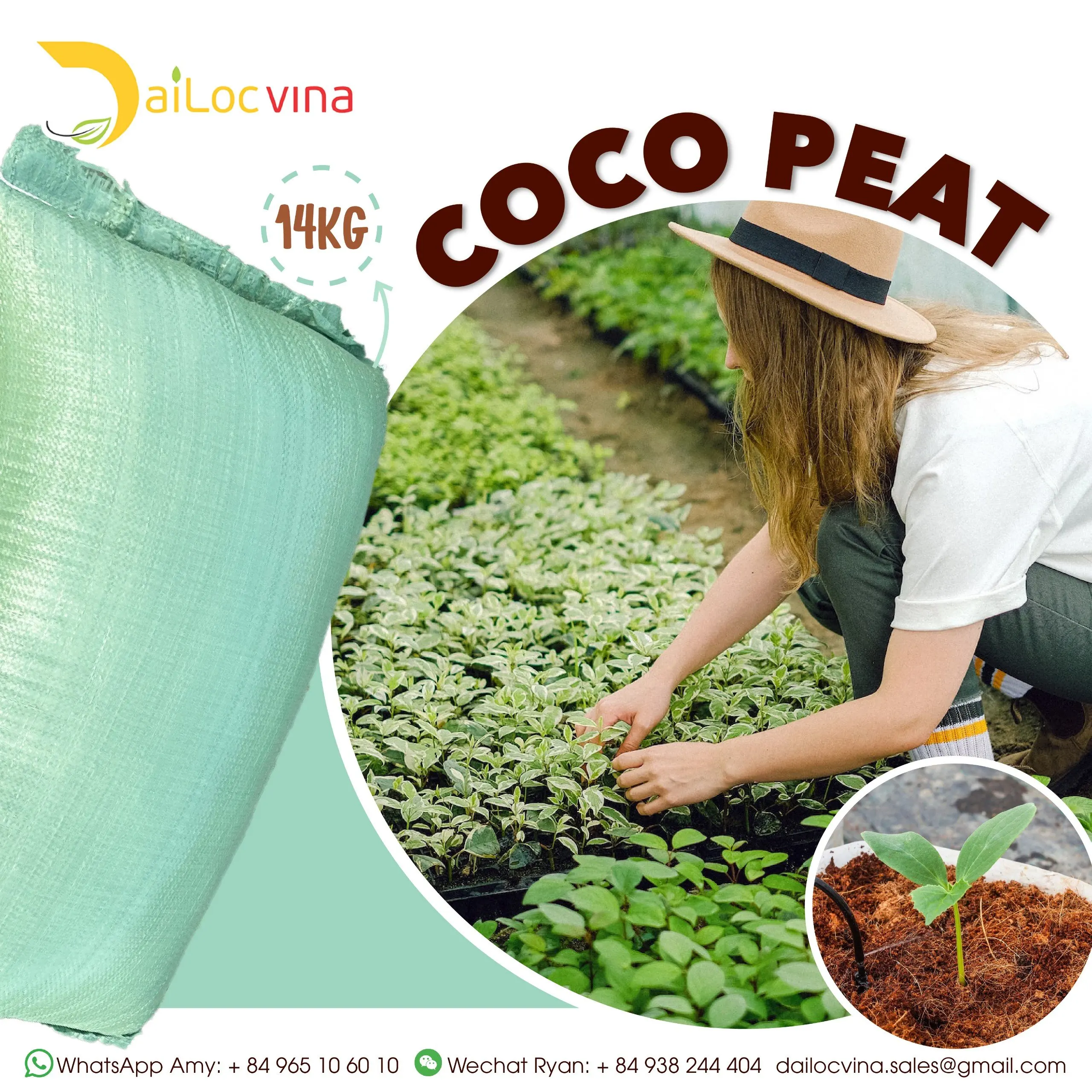 Coco Peat Bag - Natural Coconut Coir Pith for Plants