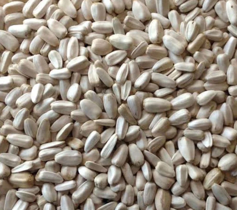 Органические белые семена подсолнечника свежие и сухие пищевые закуски в пакетах сырая Сушеная обработка для потребления человеком