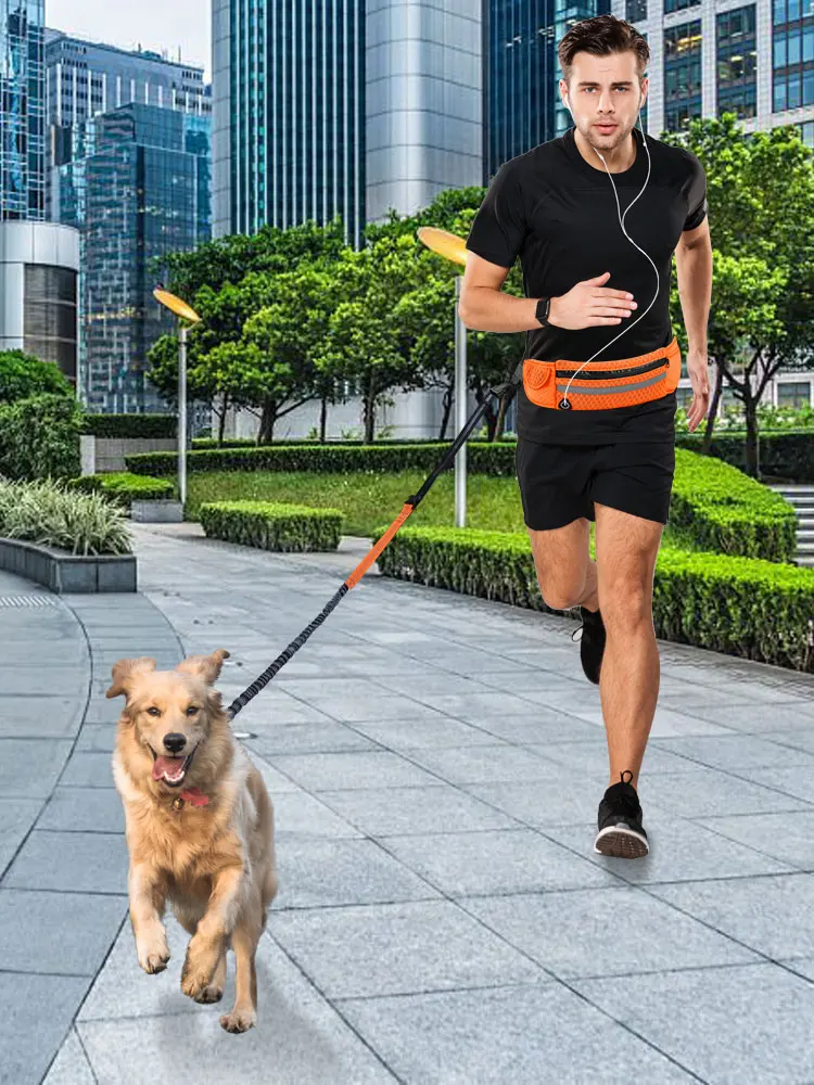 Wholesale Hands Free Dog Leash With Adjustable Waist Belt Convenient