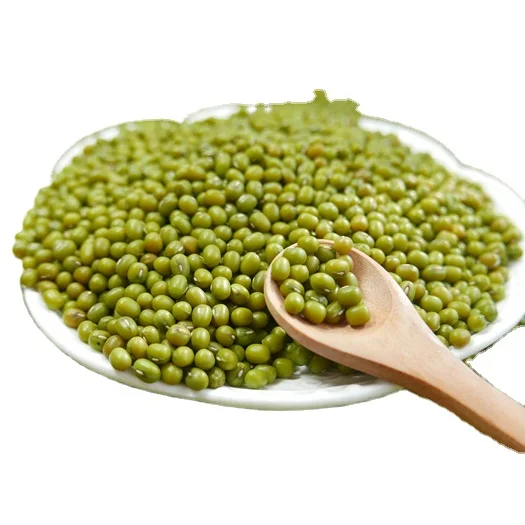 Green Mung Beans Moong Dal Dried Huskless Green Mung Beans Buy Mung Beans Beans Agriculture