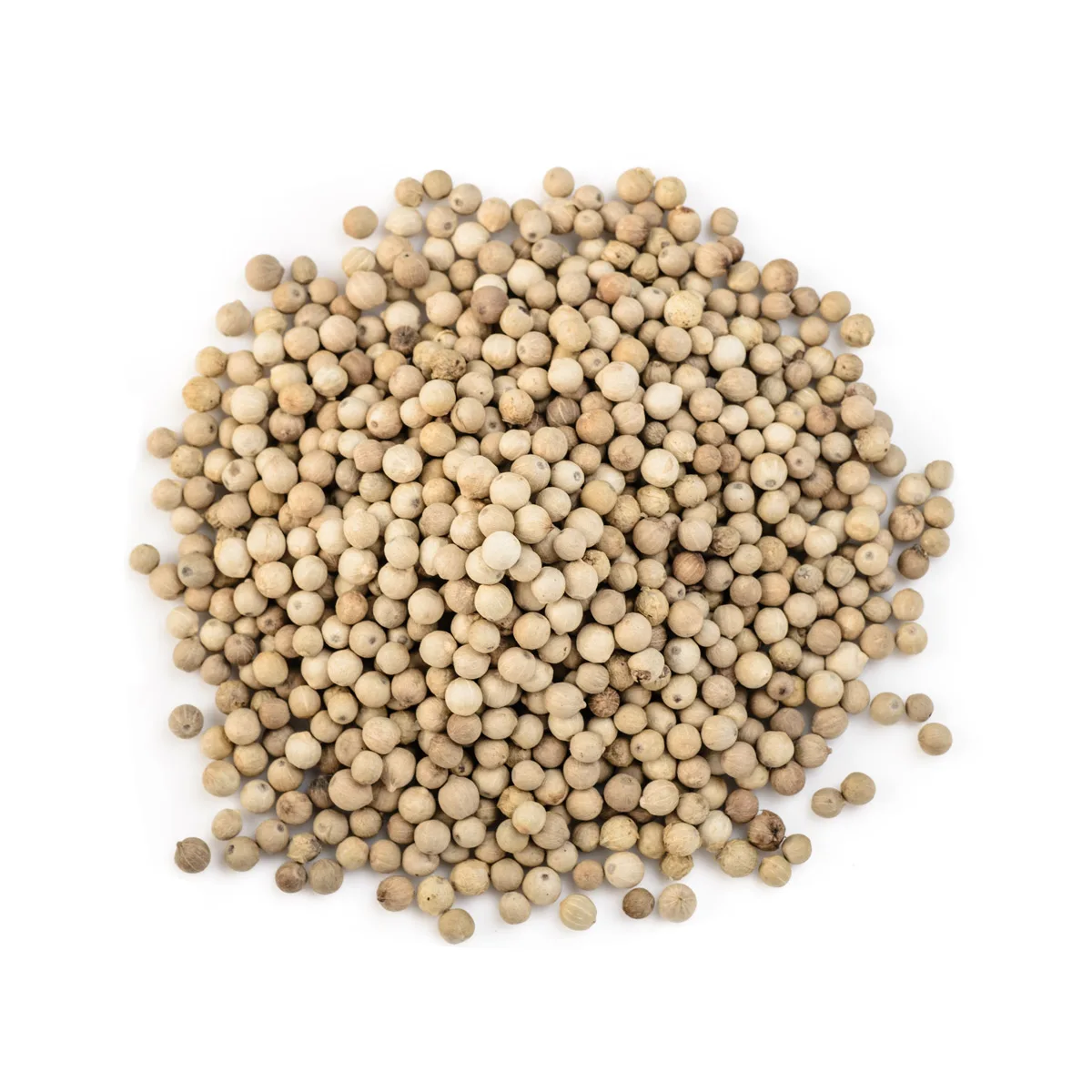 High Quality White Pepper Price Spice Natural Granule Customized Packaging Austria Factory