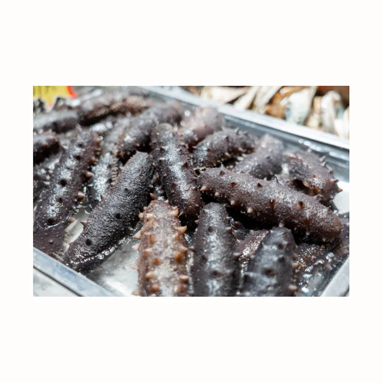 Organic Dried Sea Cucumber/ Fresh Sea Cucumber Bulk Suppliers Buy