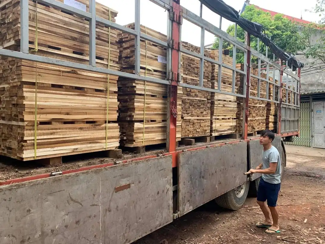 Made In Vietnam Number One Quality Dried Acacia/pine Timber Wood From