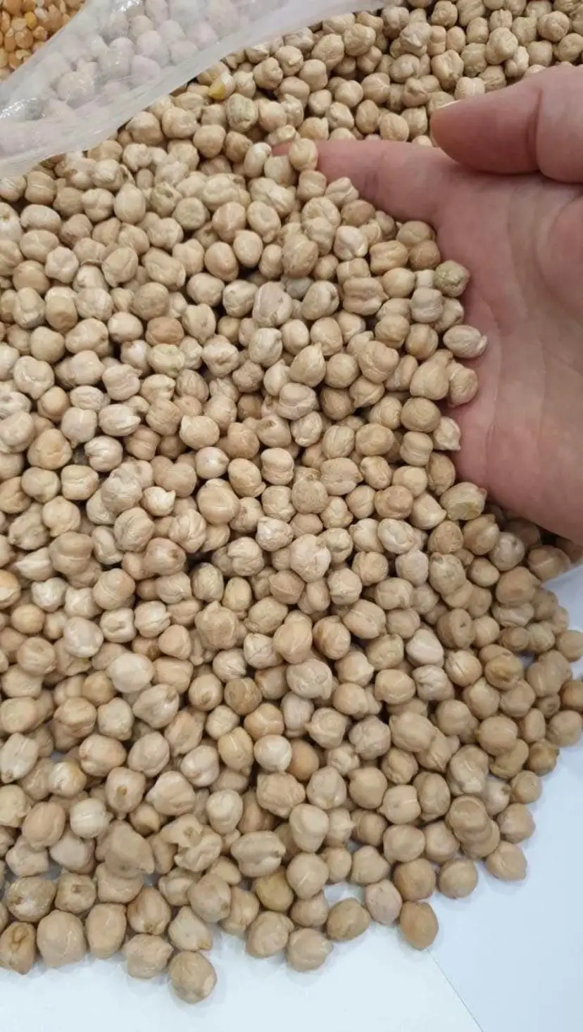 chickpeas 05.jpeg
