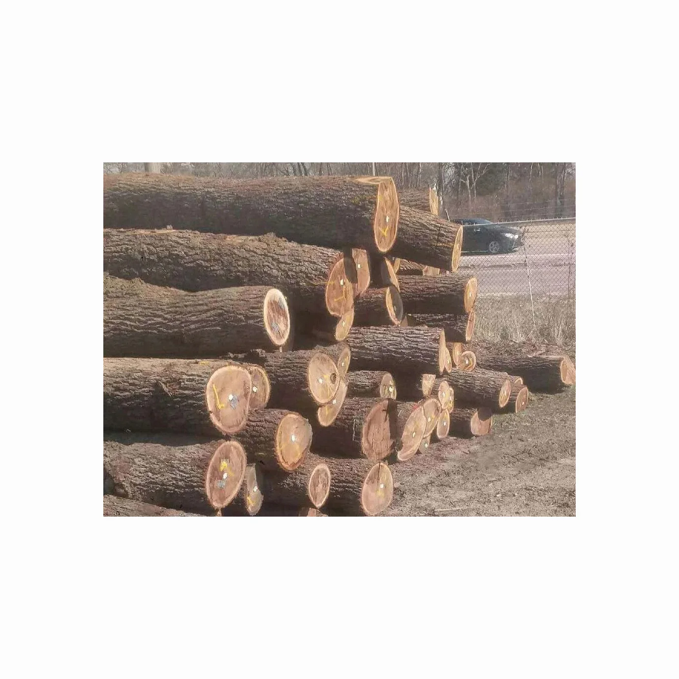High Quality Timber Wood Logs High Quality Senya Wood Hard Teak Round ...