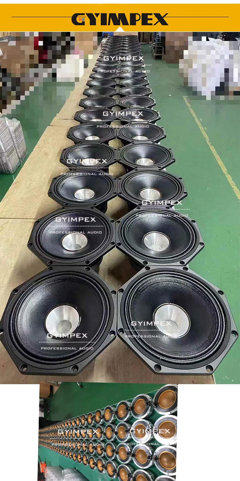 OEM Professional Inch Sub Woofer Powerful Waterproof