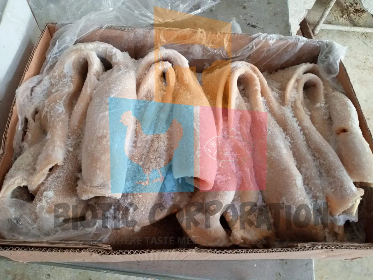 Beef Tripe With Available To Export Hongkong And Vietnam Port