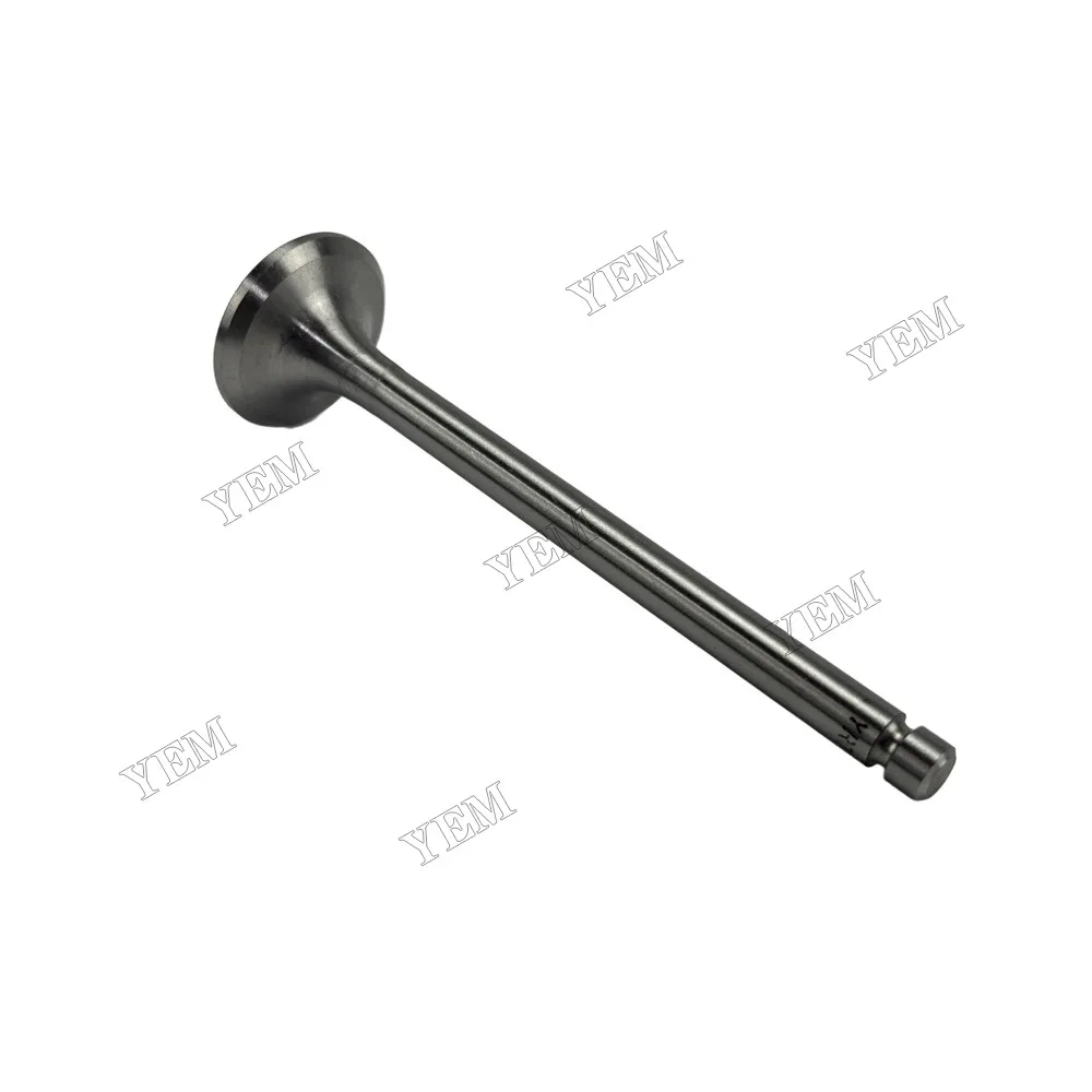 Exhaust Valve Fit for Laidong 4L22B Engine 6
