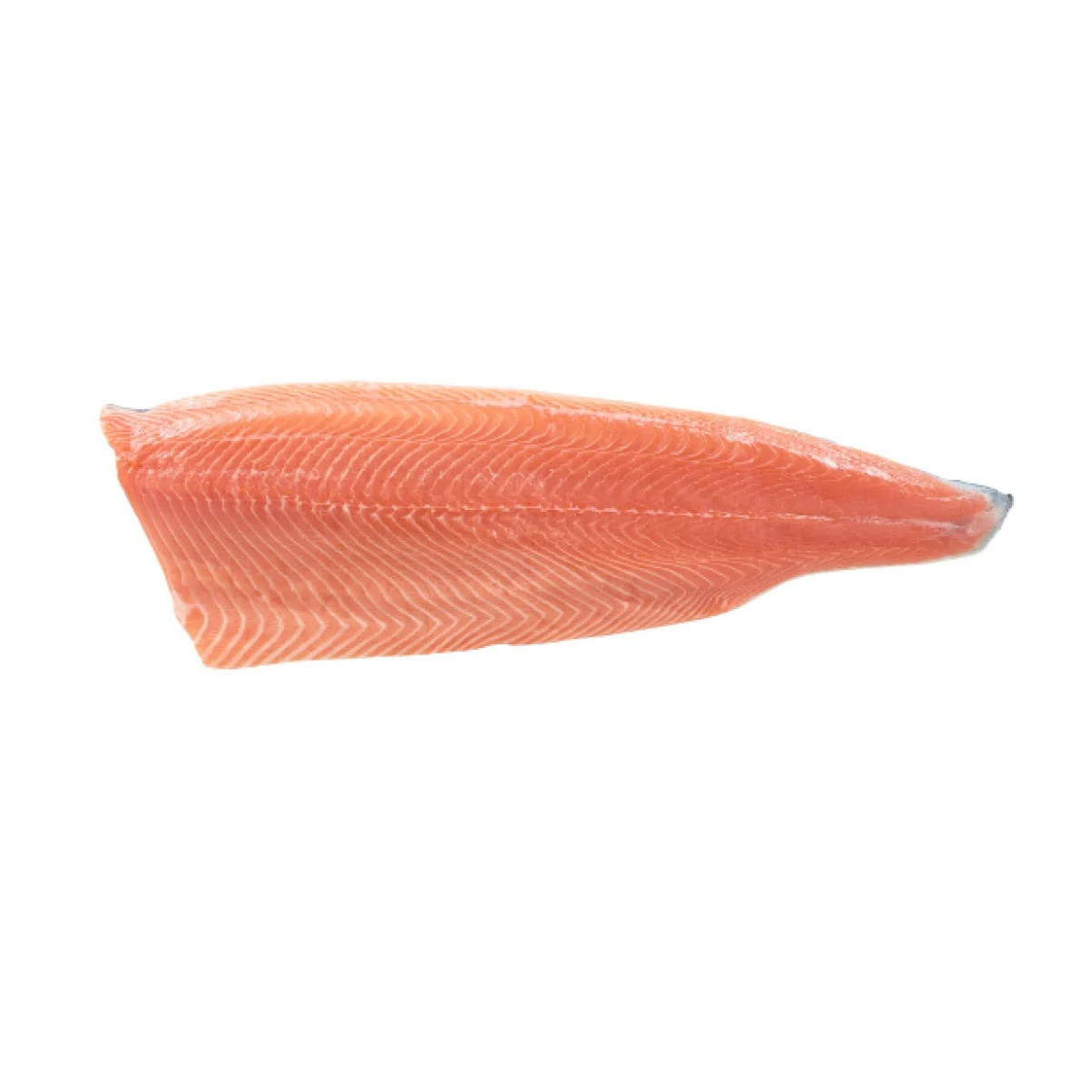 Wholesale Price Supplier Of Fresh / Frozen Salmon Fillets Trim C/d
