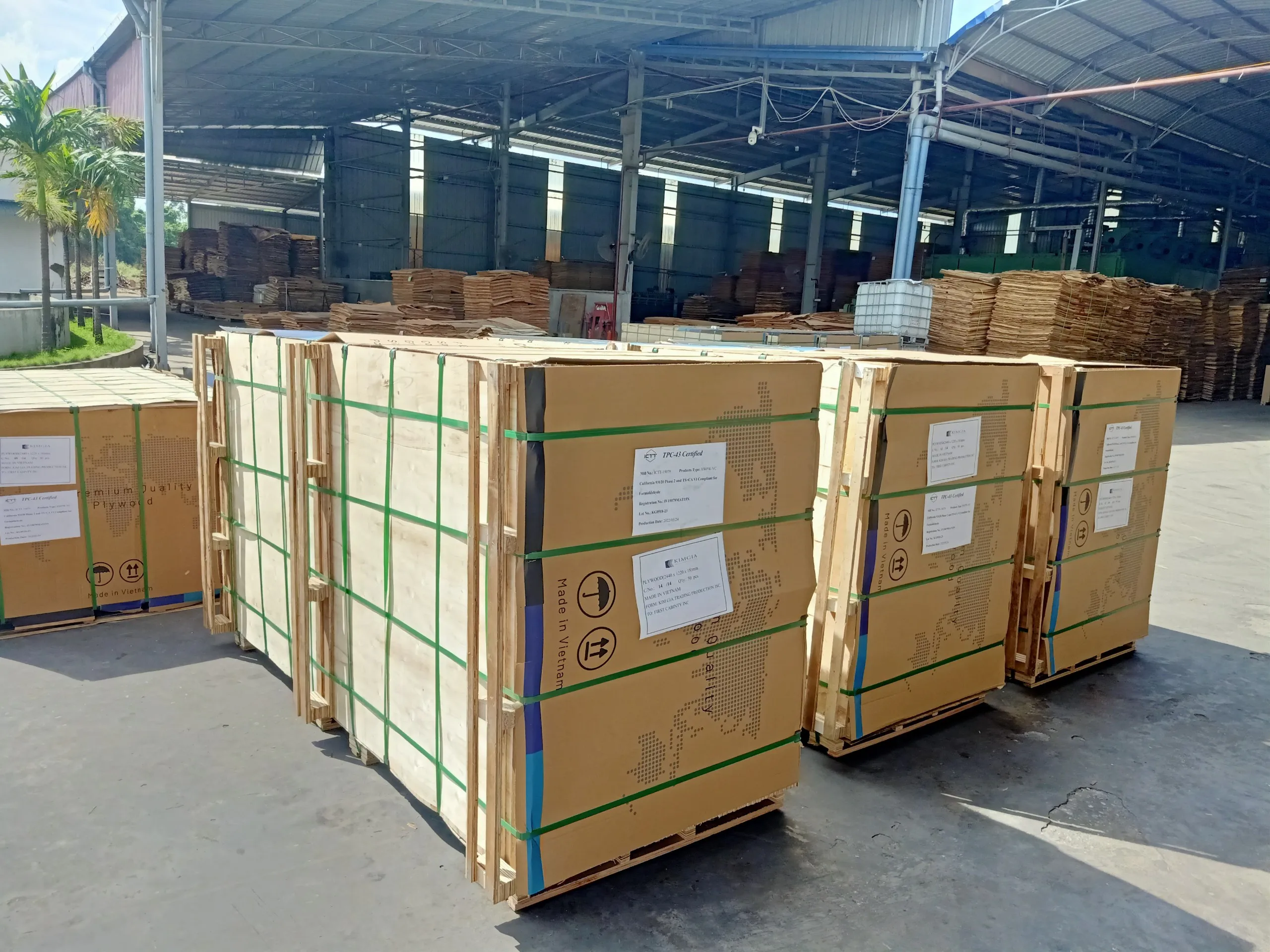 High Quality Plywood 1220*2440mm Formwork Shuttering Marine Film Faced