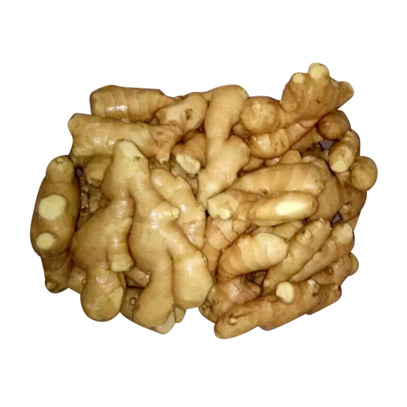 Wholesale Outstanding Quality Bulk Fresh Ginger Organic Fresh Vegetable Ginger