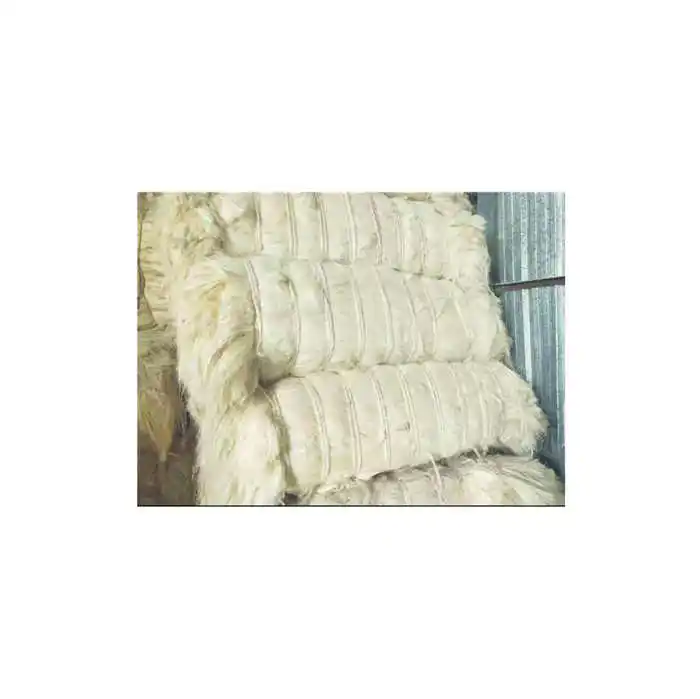 High Quality Sisal Fiber in Length 100~130cm for Gypsum / Factory Supply Raw Sisal Fiber Sisal Fiber Rope