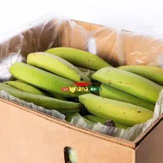 High Quality Fresh Bananas for Sale Export Quality